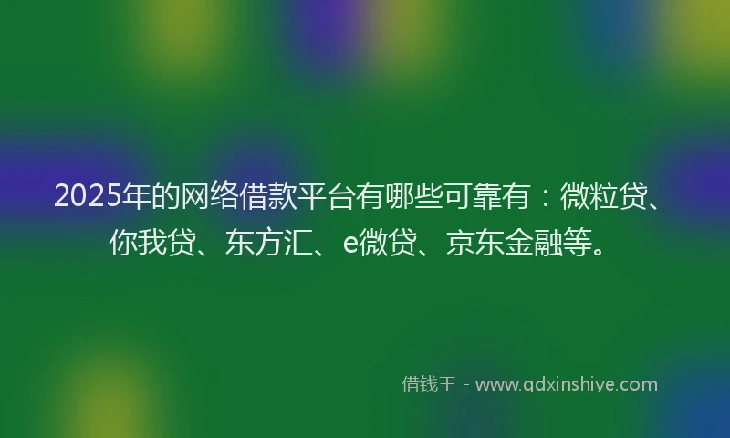 2025年的网络借款平台有哪些可靠有：微粒贷、你我贷、东方汇、e微贷、京东金融等。