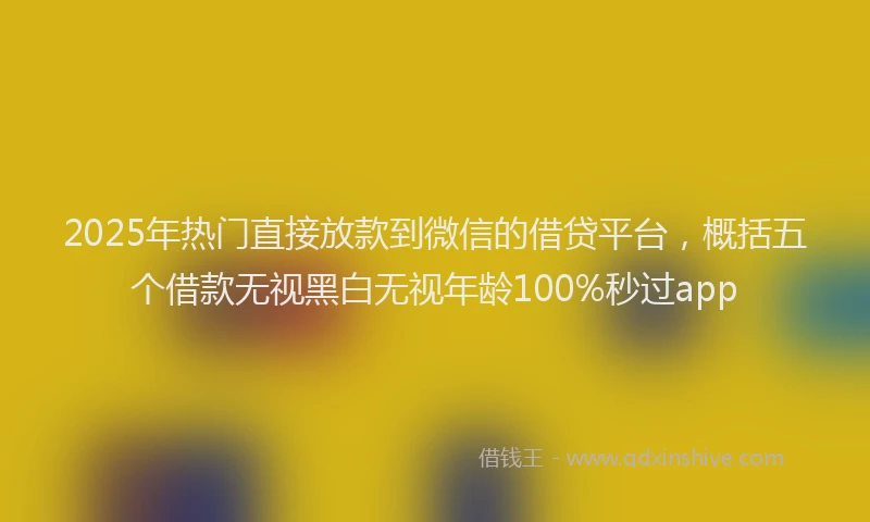 2025年热门直接放款到微信的借贷平台，概括五个借款无视黑白无视年龄100%秒过app
