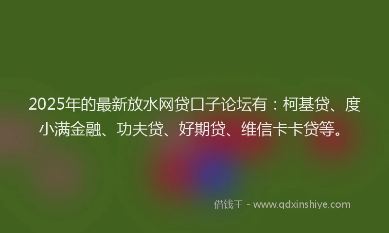2025年的最新放水网贷口子论坛有：柯基贷、度小满金融、功夫贷、好期贷、维信卡卡贷等。