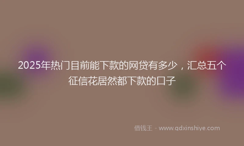 2025年热门目前能下款的网贷有多少，汇总五个征信花居然都下款的口子