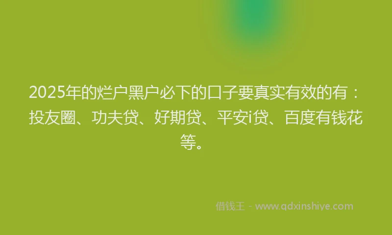 2025年的烂户黑户必下的口子要真实有效的有：投友圈、功夫贷、好期贷、平安i贷、百度有钱花等。