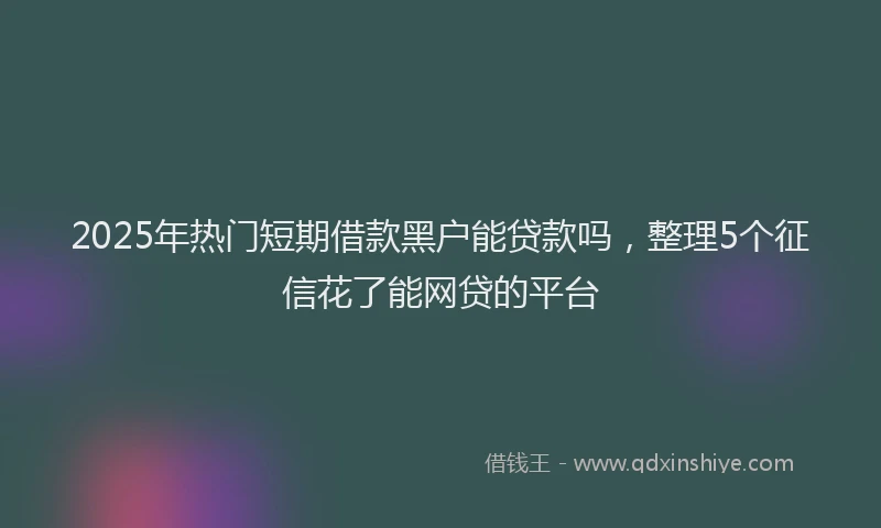 2025年热门短期借款黑户能贷款吗，整理5个征信花了能网贷的平台