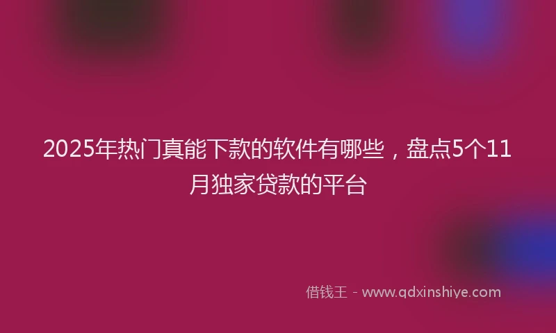2025年热门真能下款的软件有哪些，盘点5个11月独家贷款的平台