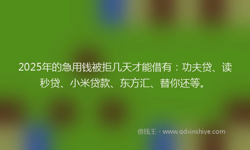 2025年的急用钱被拒几天才能借有：功夫贷、读秒贷、小米贷款、东方汇、替你还等。