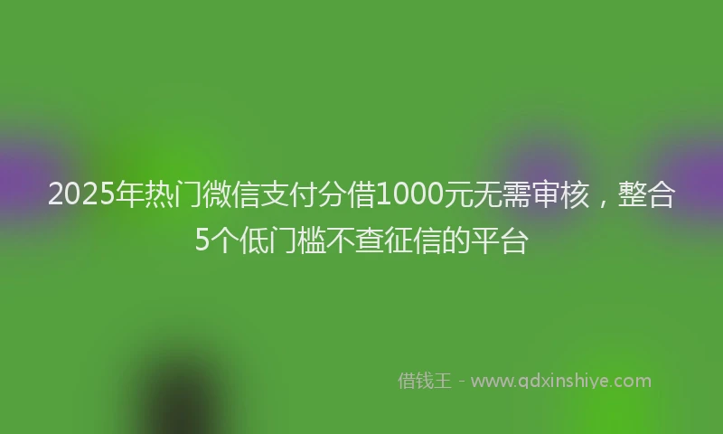 2025年热门微信支付分借1000元无需审核，整合5个低门槛不查征信的平台