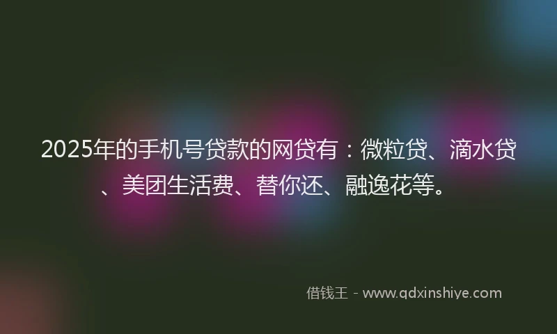 2025年的手机号贷款的网贷有：微粒贷、滴水贷、美团生活费、替你还、融逸花等。
