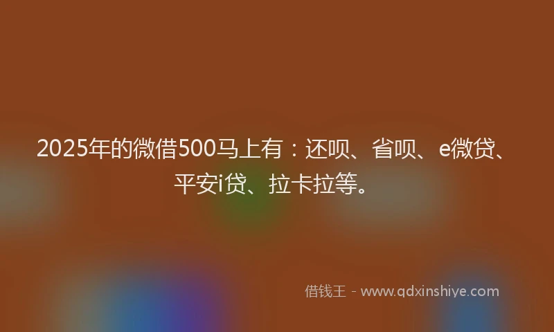 2025年的微借500马上有：还呗、省呗、e微贷、平安i贷、拉卡拉等。