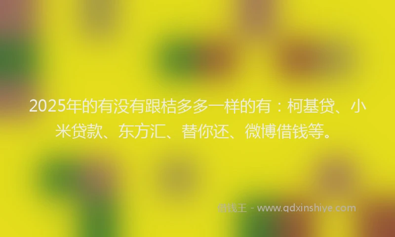 2025年的有没有跟桔多多一样的有：柯基贷、小米贷款、东方汇、替你还、微博借钱等。