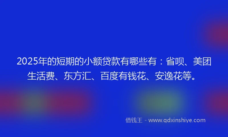 2025年的短期的小额贷款有哪些有：省呗、美团生活费、东方汇、百度有钱花、安逸花等。