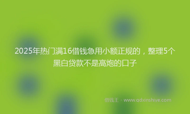 2025年热门满16借钱急用小额正规的，整理5个黑白贷款不是高炮的口子