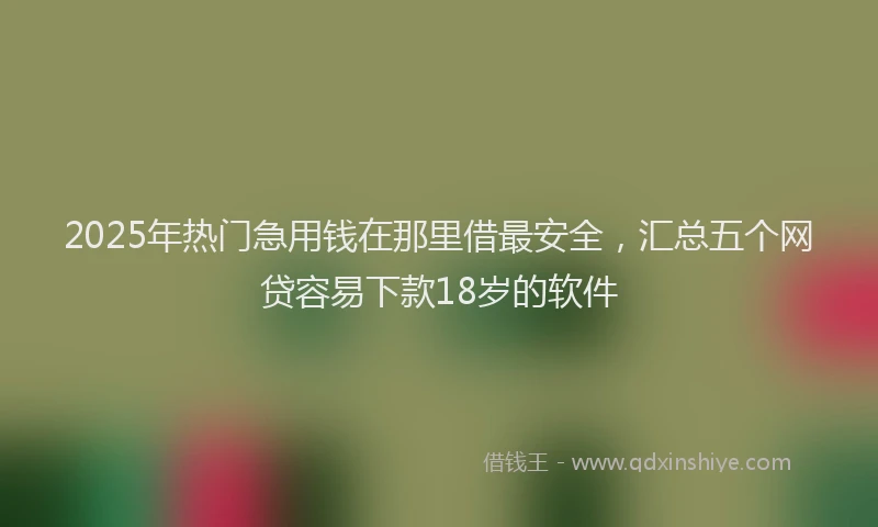 2025年热门急用钱在那里借最安全，汇总五个网贷容易下款18岁的软件