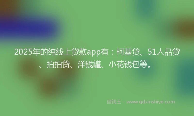 2025年的纯线上贷款app有：柯基贷、51人品贷、拍拍贷、洋钱罐、小花钱包等。