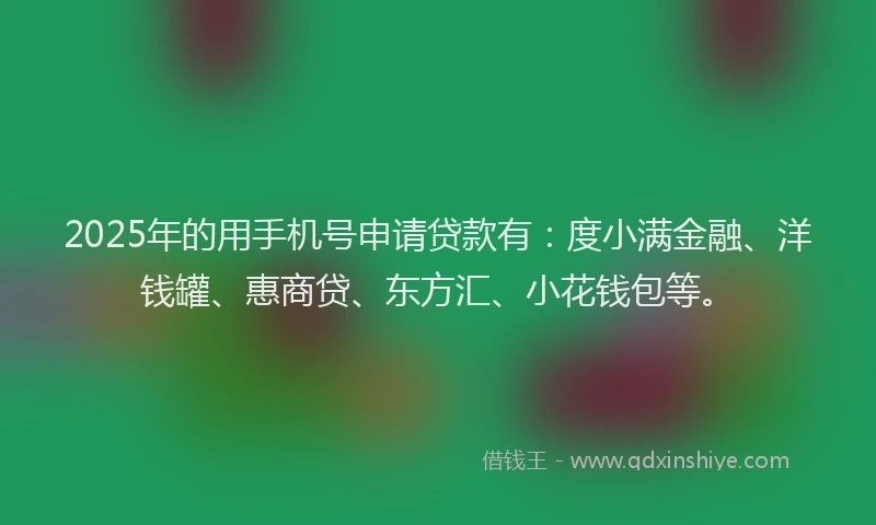 2025年的用手机号申请贷款有：度小满金融、洋钱罐、惠商贷、东方汇、小花钱包等。