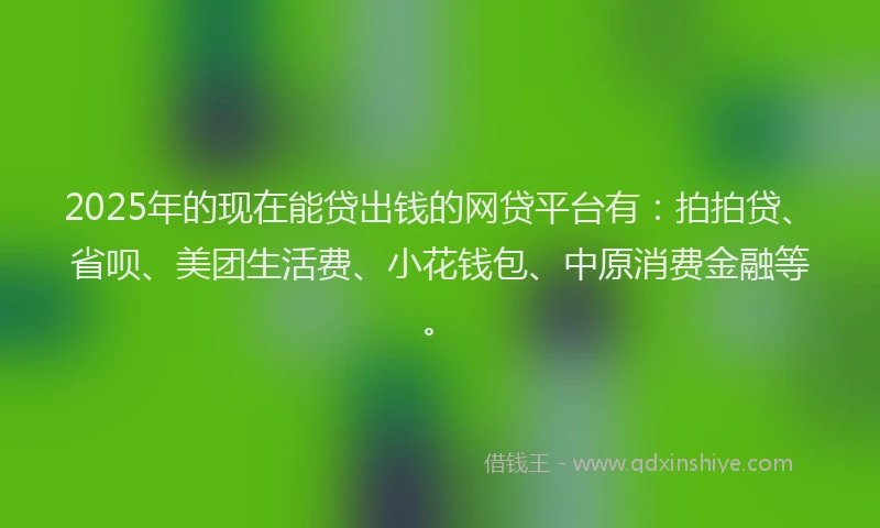 2025年的现在能贷出钱的网贷平台有：拍拍贷、省呗、美团生活费、小花钱包、中原消费金融等。