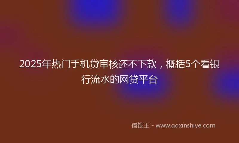 2025年热门手机贷审核还不下款，概括5个看银行流水的网贷平台