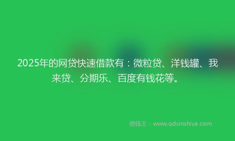2025年的网贷快速借款有：微粒贷、洋钱罐、我来贷、分期乐、百度有钱花等。