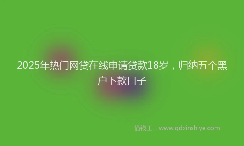 2025年热门网贷在线申请贷款18岁，归纳五个黑户下款口子