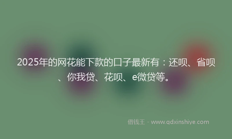 2025年的网花能下款的口子最新有：还呗、省呗、你我贷、花呗、e微贷等。