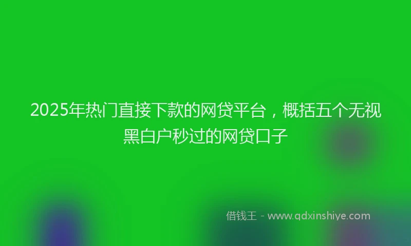 2025年热门直接下款的网贷平台，概括五个无视黑白户秒过的网贷口子