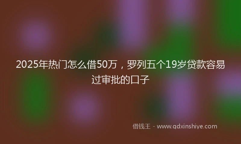 2025年热门怎么借50万，罗列五个19岁贷款容易过审批的口子