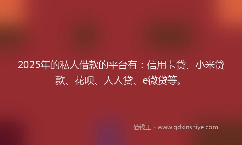 2025年的私人借款的平台有：信用卡贷、小米贷款、花呗、人人贷、e微贷等。