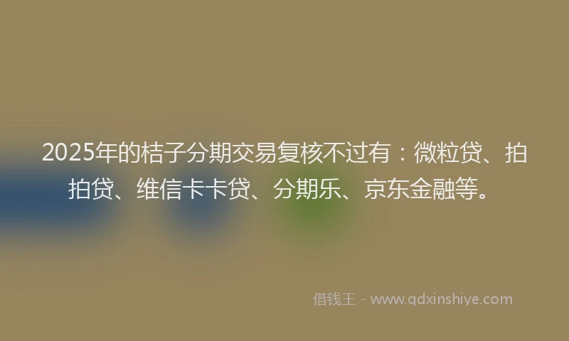 2025年的桔子分期交易复核不过有：微粒贷、拍拍贷、维信卡卡贷、分期乐、京东金融等。