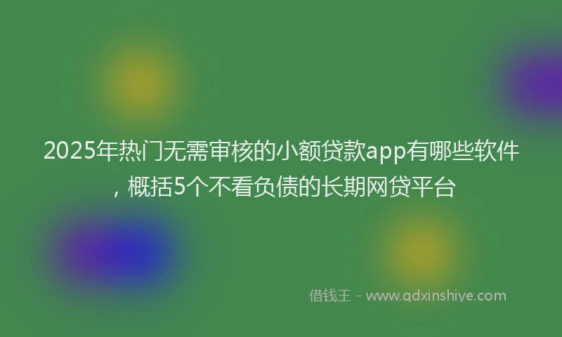 2025年热门无需审核的小额贷款app有哪些软件，概括5个不看负债的长期网贷平台