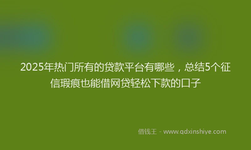 2025年热门所有的贷款平台有哪些，总结5个征信瑕疵也能借网贷轻松下款的口子