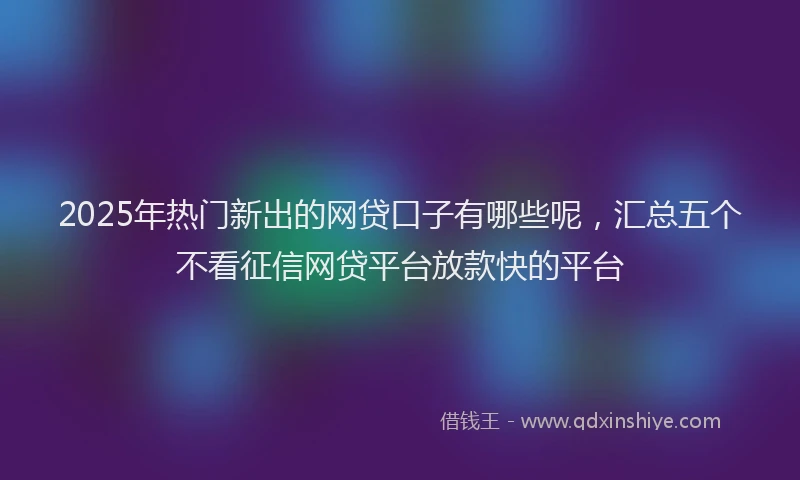 2025年热门新出的网贷口子有哪些呢，汇总五个不看征信网贷平台放款快的平台