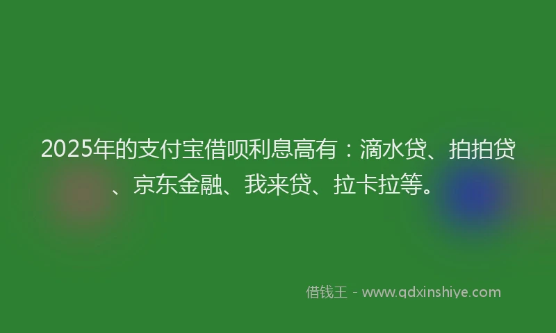 2025年的支付宝借呗利息高有：滴水贷、拍拍贷、京东金融、我来贷、拉卡拉等。