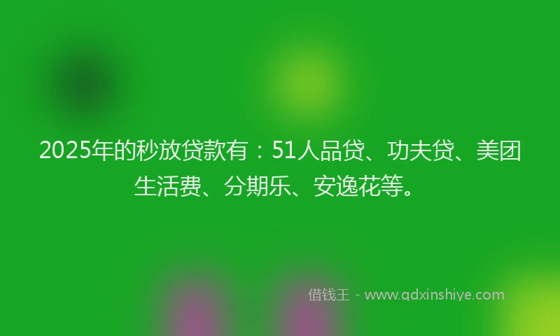 2025年的秒放贷款有：51人品贷、功夫贷、美团生活费、分期乐、安逸花等。