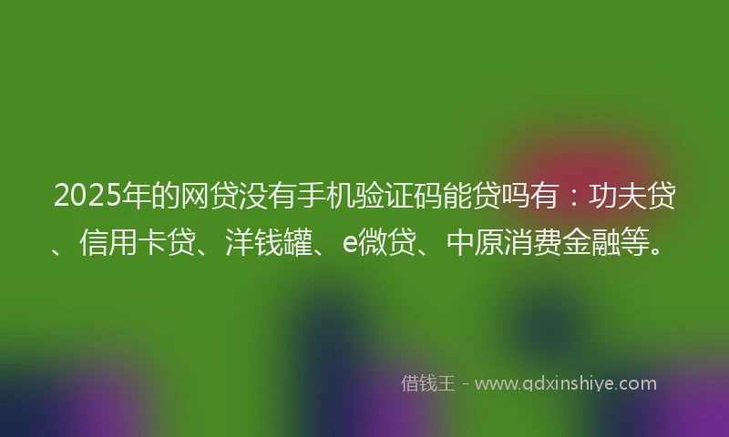 2025年的网贷没有手机验证码能贷吗有：功夫贷、信用卡贷、洋钱罐、e微贷、中原消费金融等。