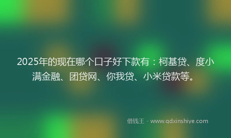 2025年的现在哪个口子好下款有:柯基贷、度小满金融、团贷网、你我贷、小米贷款等。
