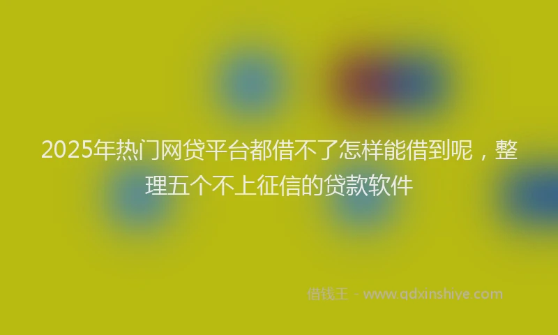 2025年热门网贷平台都借不了怎样能借到呢，整理五个不上征信的贷款软件