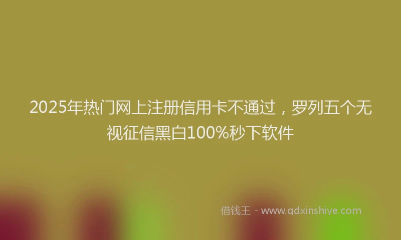 2025年热门网上注册信用卡不通过，罗列五个无视征信黑白100%秒下软件