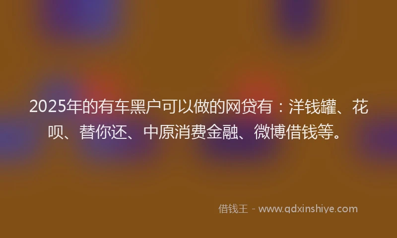 2025年的有车黑户可以做的网贷有：洋钱罐、花呗、替你还、中原消费金融、微博借钱等。
