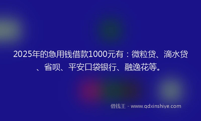 2025年的急用钱借款1000元有：微粒贷、滴水贷、省呗、平安口袋银行、融逸花等。