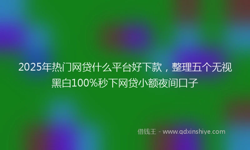 2025年热门网贷什么平台好下款，整理五个无视黑白100%秒下网贷小额夜间口子