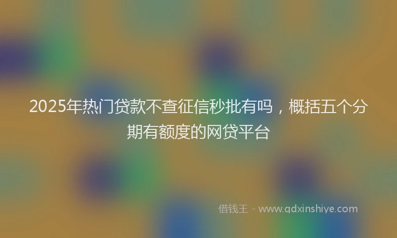 2025年热门贷款不查征信秒批有吗，概括五个分期有额度的网贷平台