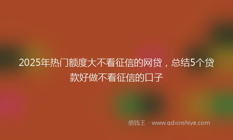 2025年热门额度大不看征信的网贷，总结5个贷款好做不看征信的口子