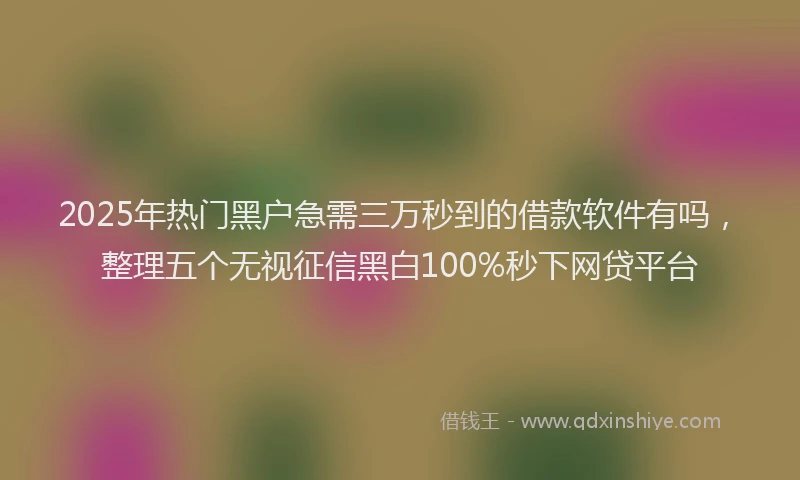 2025年热门黑户急需三万秒到的借款软件有吗，整理五个无视征信黑白100%秒下网贷平台