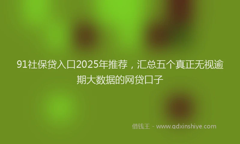 91社保贷入口2025年推荐，汇总五个真正无视逾期大数据的网贷口子