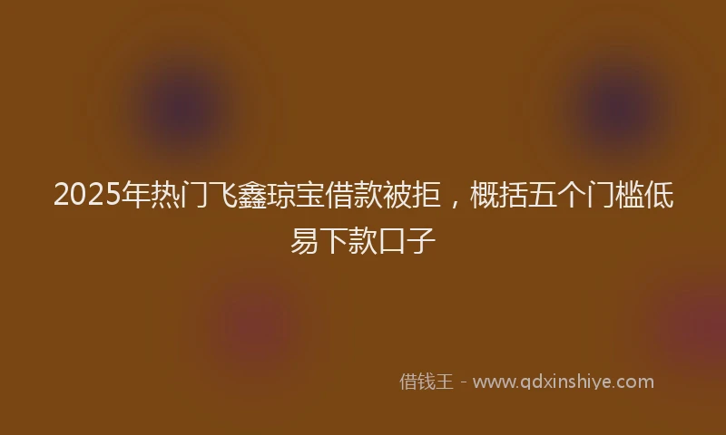 2025年热门飞鑫琼宝借款被拒，概括五个门槛低易下款口子