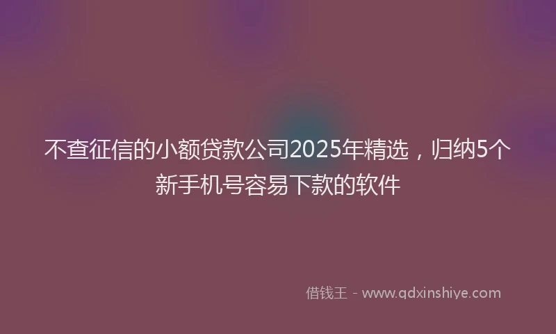 不查征信的小额贷款公司2025年精选，归纳5个新手机号容易下款的软件