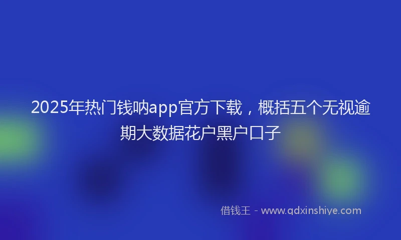 2025年热门钱呐app官方下载，概括五个无视逾期大数据花户黑户口子