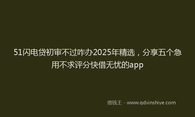 51闪电贷初审不过咋办2025年精选，分享五个急用不求评分快借无忧的app
