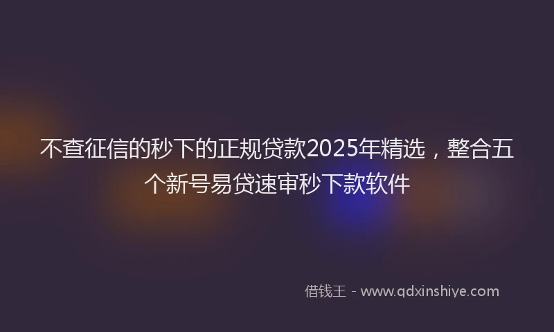 不查征信的秒下的正规贷款2025年精选，整合五个新号易贷速审秒下款软件