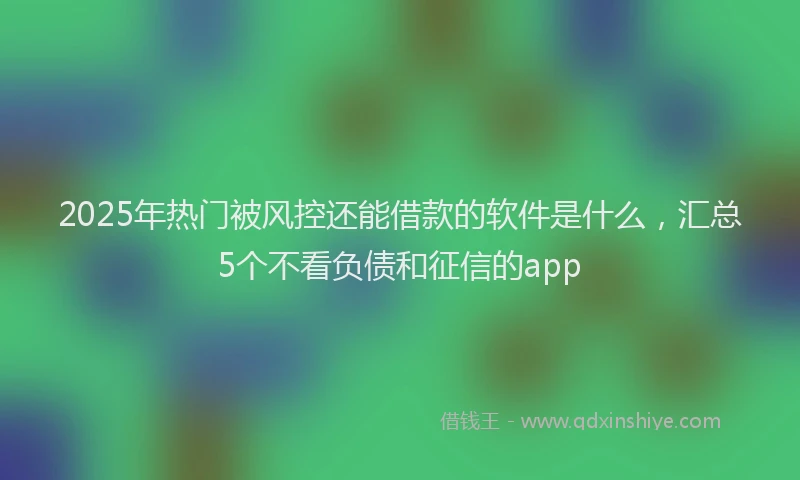 2025年热门被风控还能借款的软件是什么，汇总5个不看负债和征信的app
