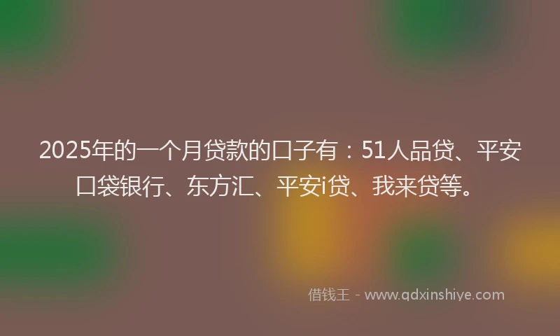 2025年的一个月贷款的口子有：51人品贷、平安口袋银行、东方汇、平安i贷、我来贷等。