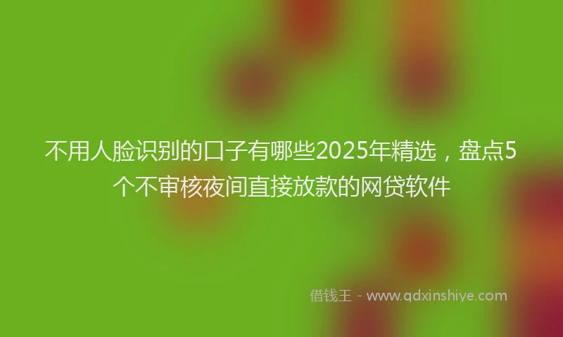 不用人脸识别的口子有哪些2025年精选，盘点5个不审核夜间直接放款的网贷软件